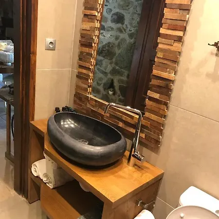 Casa Avocado *