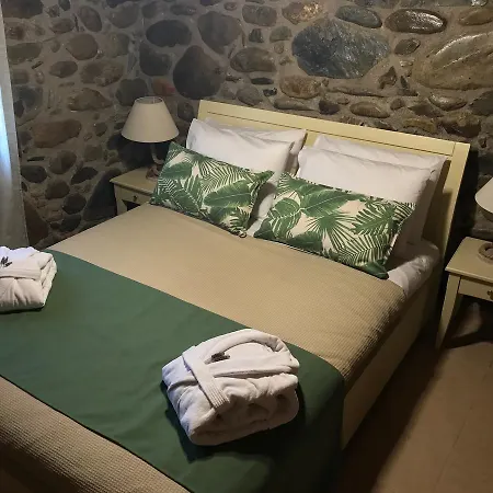 Casa Avocado *