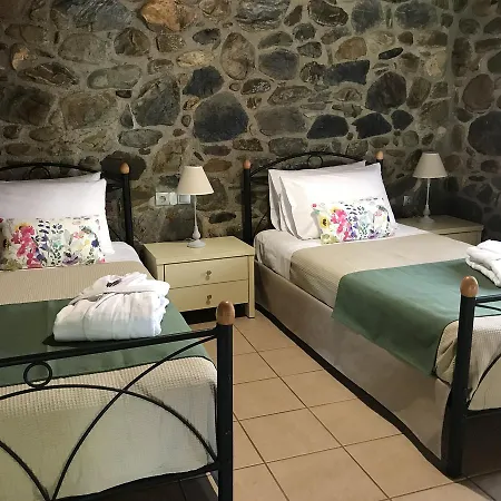 Casa Avocado